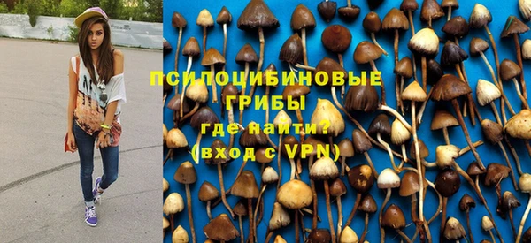 круглые Нягань